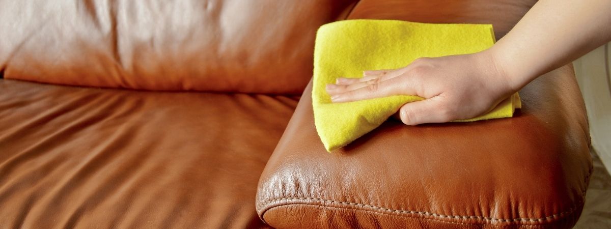 How to get cat pee out of leather hot sale sofa